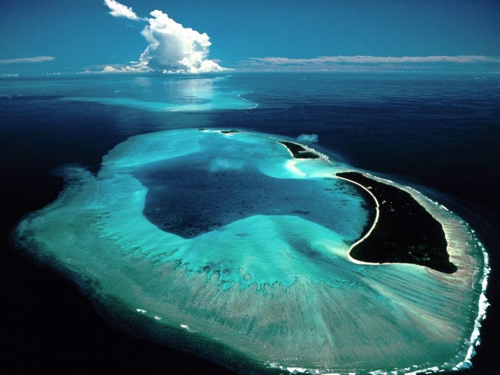 Best reef pic