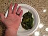 Click image for larger version

Name:	Algae.jpg
Views:	675
Size:	38.5 KB
ID:	4961