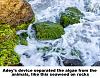 Click image for larger version

Name:	waves rock growth.jpg
Views:	1594
Size:	98.5 KB
ID:	7738