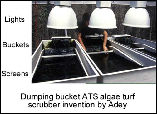 http://algaescrubber.net/forums/attachment.php?attachmentid=7739&d=1549496546