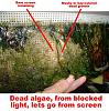 Click image for larger version

Name:	dead growth.jpg
Views:	1830
Size:	95.0 KB
ID:	7840