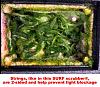 Click image for larger version

Name:	surf strings.jpg
Views:	1524
Size:	77.4 KB
ID:	7842