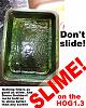 Click image for larger version

Name:	SlimeOnHog1.3.jpg
Views:	4979
Size:	87.6 KB
ID:	8008