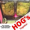 Click image for larger version

Name:	HOG3xx two units by Ken Chong - thumb.jpg
Views:	4030
Size:	87.4 KB
ID:	8038
