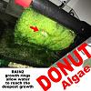Click image for larger version

Name:	Rain2 donut growth.jpg
Views:	2329
Size:	88.3 KB
ID:	8057