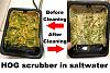 Click image for larger version

Name:	HOG before after.jpg
Views:	4411
Size:	95.7 KB
ID:	8177
