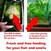 Click image for larger version

Name:	HOG-growth-glass-FW.jpg
Views:	1416
Size:	87.3 KB
ID:	8200
