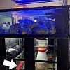 Click image for larger version

Name:	hog on side sump glass.jpg
Views:	601
Size:	45.1 KB
ID:	8411