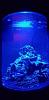 Click image for larger version

Name:	UasSurfRoundTank-2.jpg
Views:	2602
Size:	29.9 KB
ID:	8413