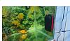 Click image for larger version

Name:	UasGordonWong-1.jpg
Views:	2041
Size:	94.2 KB
ID:	8428