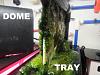 Click image for larger version

Name:	r2 dome tray.jpg
Views:	32
Size:	67.5 KB
ID:	8453