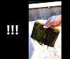 Click image for larger version

Name:	RAIN2 maramot reef feeding thumb.jpg
Views:	10
Size:	50.7 KB
ID:	8521