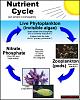 Click image for larger version

Name:	nutrient cycle.jpg
Views:	80
Size:	41.6 KB
ID:	8344