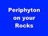 Click image for larger version

Name:	periphyton on your rocks.jpg
Views:	98
Size:	26.7 KB
ID:	8261